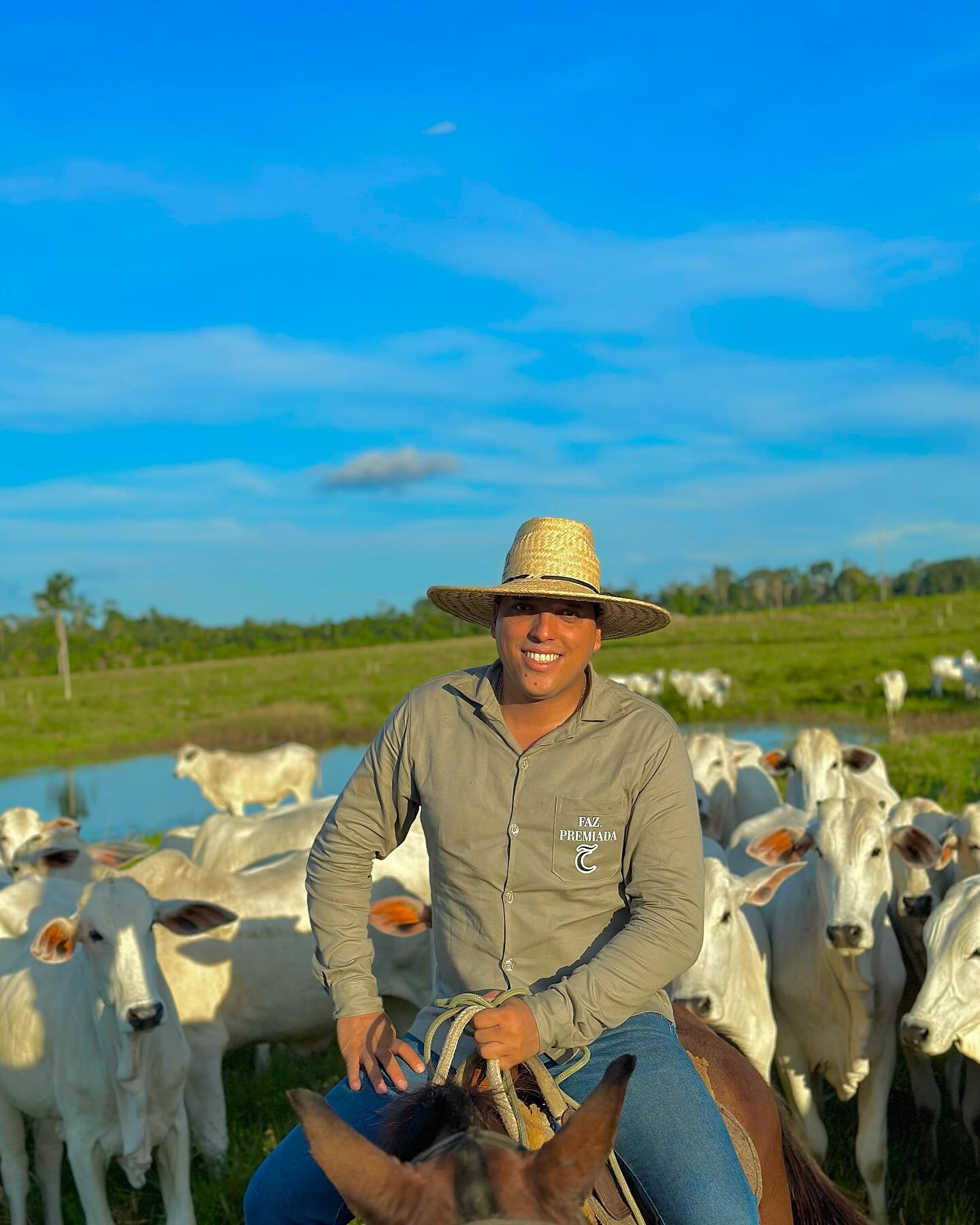 Você está visualizando atualmente A Ascensão de um Empreendedor Visionário no Agronegócio