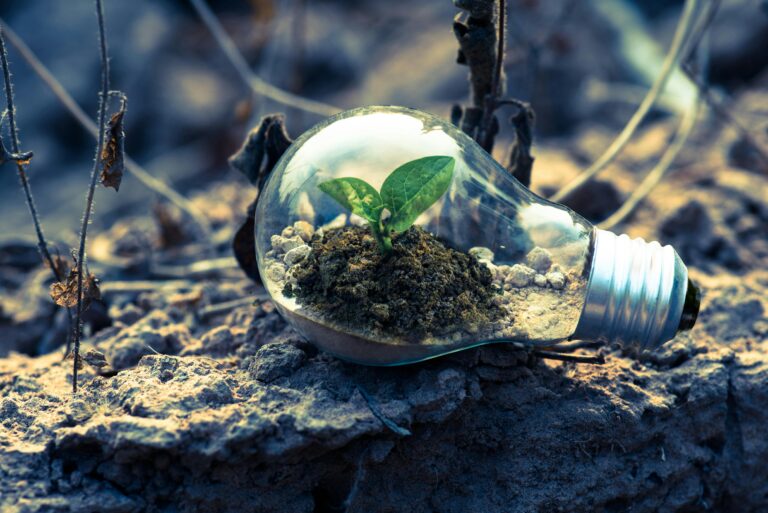 Leia mais sobre o artigo Construindo um Futuro Corporativo Responsável: A Importância da Sustentabilidade e do ESG