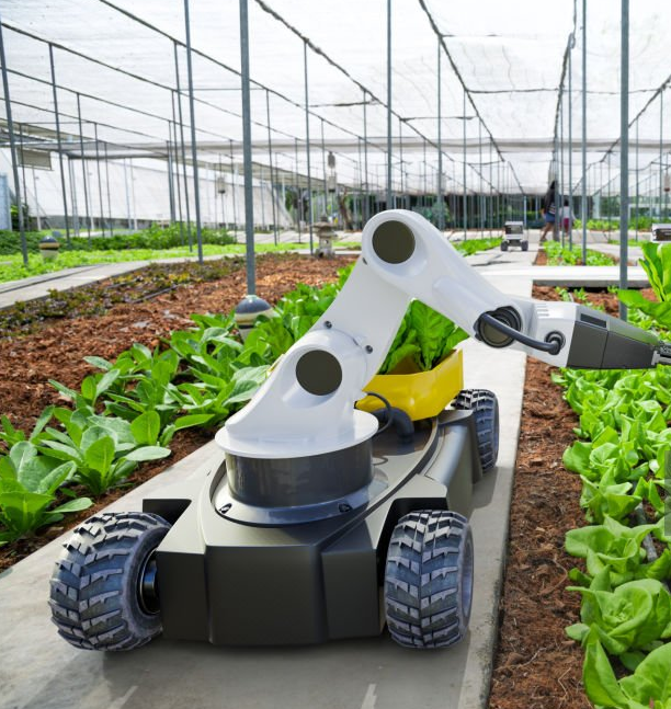 Leia mais sobre o artigo Inteligência Artificial na Agricultura: Transformando o Setor Agropecuário no Mundo Empresarial.