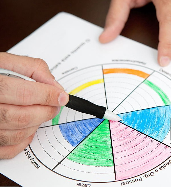 Leia mais sobre o artigo Roda da Vida: A Ferramenta que Ajuda no Equilíbrio Entre Carreira e Bem-Estar.