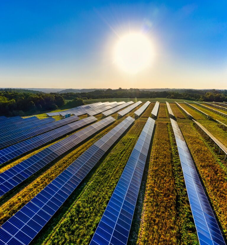 Leia mais sobre o artigo Cobrança de ICMS sobre Geração Própria de Energia Solar é Suspensa por Ronaldo Caiado.