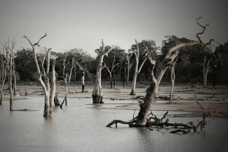 Leia mais sobre o artigo Enchentes na Argentina causam 16 mortes e prejuízos de US$ 400 milhões, destacando falhas na gestão de infraestrutura.